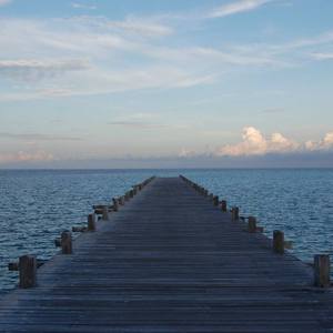 九九中文无码高清
